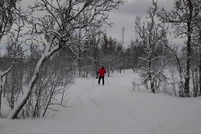 Cross-Country Ski Lesson for Beginners in Tromso - Transport, Timing, and the Trail Just Outside the City