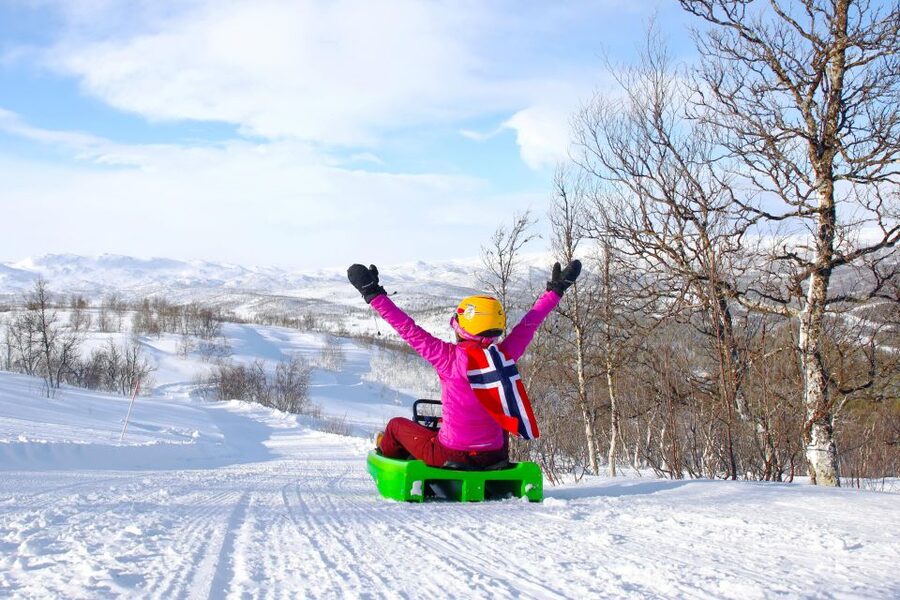 Dagali: 2-Hour Racing Toboggan Adventure - Key highlights worth making time for