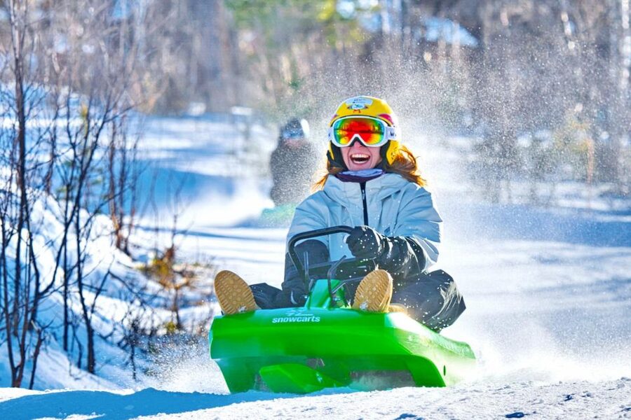 Dagali: 2-Hour Racing Toboggan Adventure - My Final Take: Should You Book the Dagali Racing Toboggan?