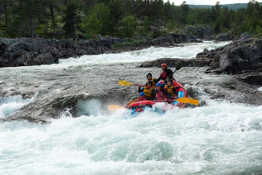 Dagali/Geilo: White Water Rafting Adventure - level 2 - What Happens on the River: Technique, Rapids, and Real Team Fun