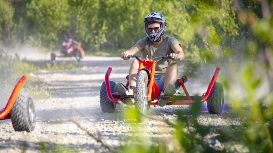 Dagali: Mountain Cart Racing Adventure - Key things to know before you go