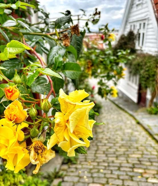 Discover Private+ Stavanger Guided City Tour - Gamle Stavanger: the old town stop that sets the mood