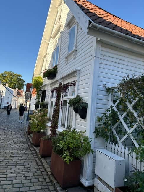 Discover Private+ Stavanger Guided City Tour - Breiavatnet: a short pause that refreshes your pace