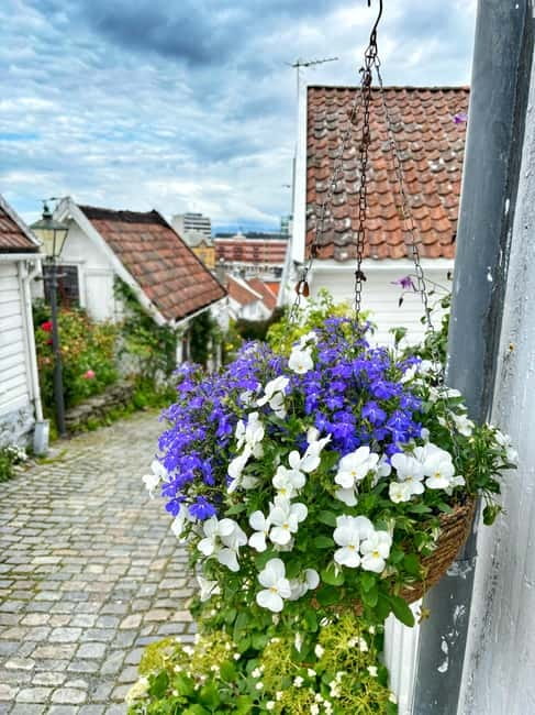 Discover Private+ Stavanger Guided City Tour - A 2-hour Stavanger loop that fits real travel days