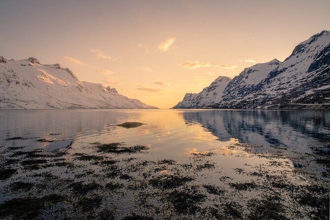 Discover the Fjords of Kvaloya - a roadtrip along fjords and fishing villages - The Kvaløya Island Leg: Fishing Villages, Fjord Pull-Offs, and Photo Time