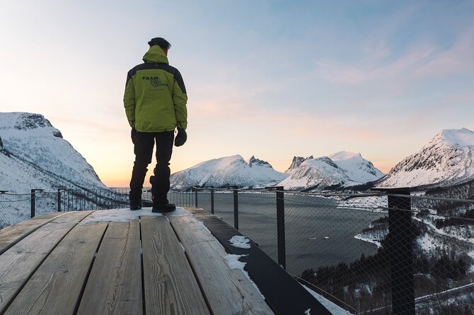 Discovery tour of the island of Senja and Kvaløya from Tromsø - Guides on the ground: why the narration changes how you see the coast