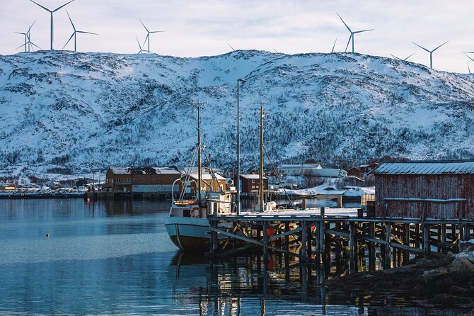 Discovery tour of the island of Senja and Kvaløya from Tromsø - Your ride setup: private transport, WiFi, and a small group advantage