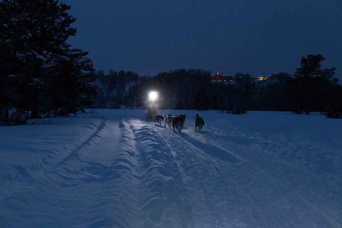 Dog Sled Tour and Husky Cuddles - Getting Warm Before You Ride: Clothing, Safety, and Real-World Comfort
