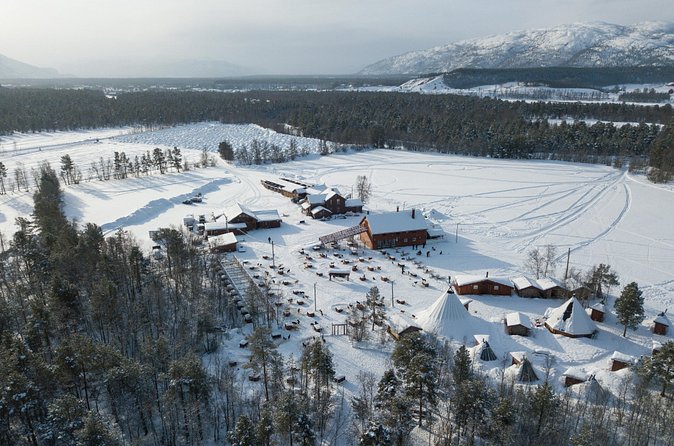 Dog Sled Tour and Husky Cuddles - Weather-Dependent Arctic Fun: How to Plan for the Cold Reality