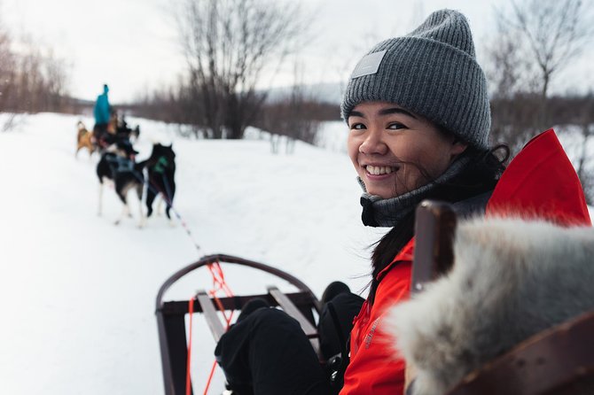 Dog Sled Tour and Husky Cuddles - 60 Minutes of Dog Sledding Through Northern Norway: What You Actually Do