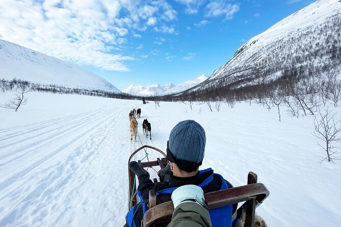 Dog Sledding: A Self-Drive Arctic Experience from Tromsø - Key takeaways before you go