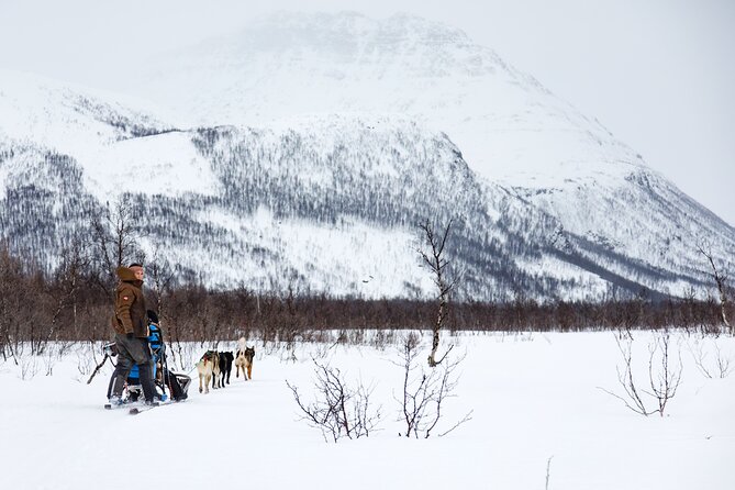 Dog Sledding: A Self-Drive Arctic Experience from Tromsø - Tromsø Harbor to the Husky Center: how the 11:30 am day starts