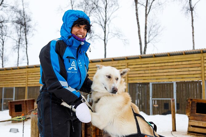 Dog Sledding: A Self-Drive Arctic Experience from Tromsø - The 1.5 hour husky-drawn ride near Breivikeidet