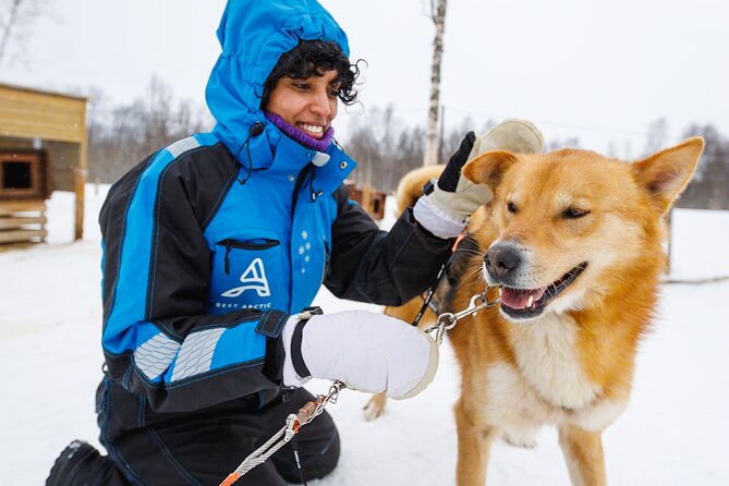 Dog Sledding: A Self-Drive Arctic Experience from Tromsø - Price and logistics: is $321.84 good value for this kind of day?