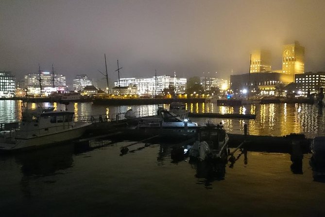 Downtown Oslo: Self-Guided Highlights and History Audio Tour - Stop 3: Royal Palace park, ponds with fountains, and 1840s planning