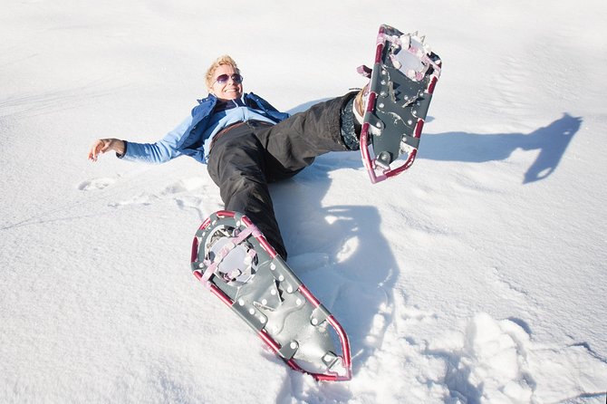 Eco friendly snowshoeing in Scenic Landscape - A panoramic TeslaX start makes the whole day easier