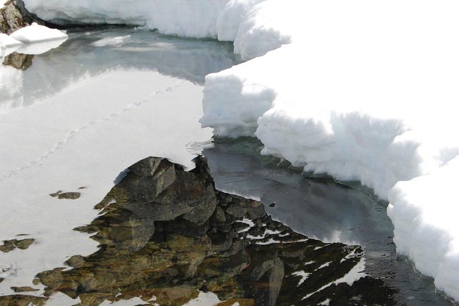Eco friendly snowshoeing in Scenic Landscape - Prestvannet Lake snowshoe walk: the main event