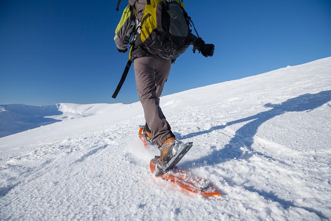 Eco friendly snowshoeing in Scenic Landscape - Telegraf Bukta beach time and mountain views