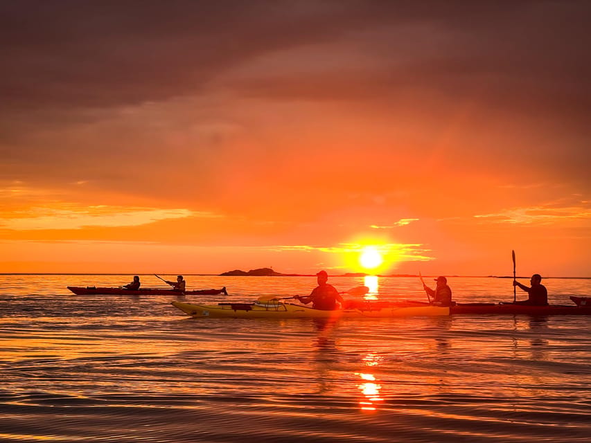 Eggum: Lofoten Islands Midnight Sun Kayak Tour - Gear That Actually Matters for Lofoten Kayaking Nights