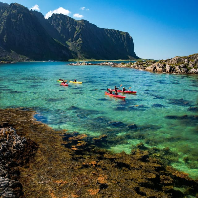 Eggum Lofoten: Kayaking Tour in Lofoten with Snacks - Wildlife Spotting and Local Stories From the Guide