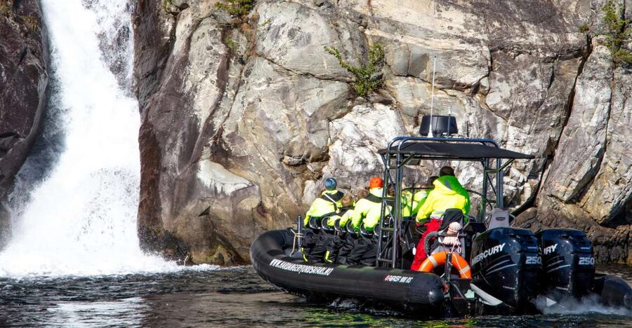 Eidfjord: 1-Hour Fjord RIB Tour - Key highlights that matter before you go