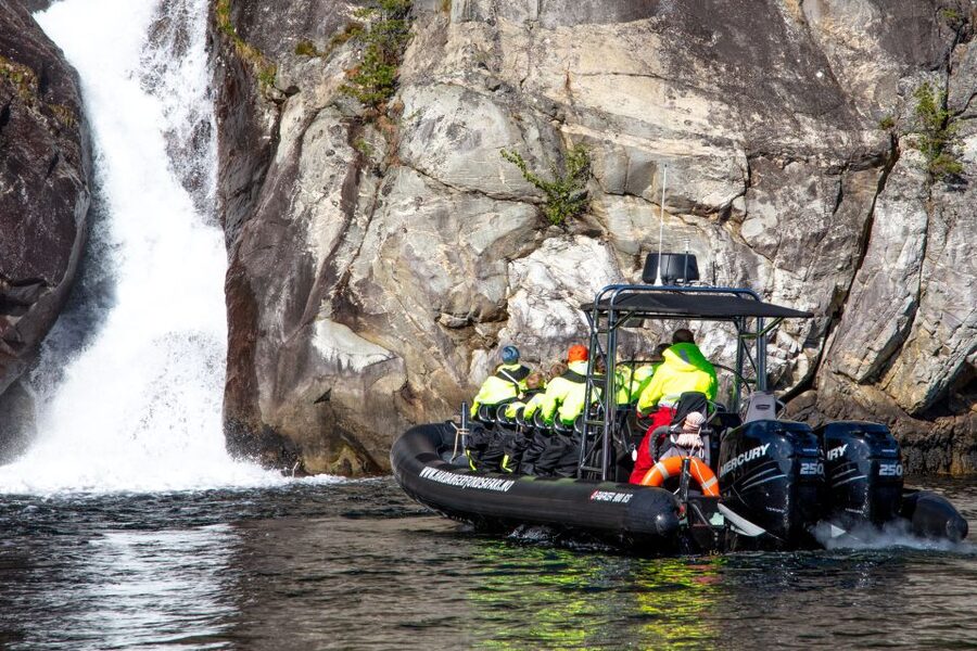 Eidfjord: 1-Hour Fjord RIB Tour - Goats, seals, and seabirds, the wildlife portion you can actually plan for