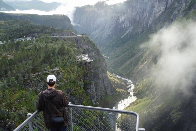 Eidfjord Guided tour Vøringfossen Waterfall & National Park - Vøringfossen and Hardangervidda in One Half-Day