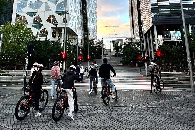 El-bike Rentals By The Oslo Tour - Key Points That Matter Before You Go