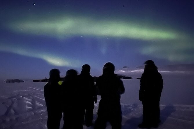 Evening Tour and Aurora Borealis Sightseeing in Norway by ATV - Alta After Dark: The Real Reason This Works