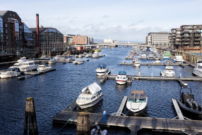 Exclusive Guided & Customized Private Oslo City Tour in Limo - Food, breaks, and how to keep the day from feeling rushed