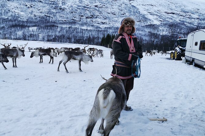Exclusive Reindeers Experience in small groups, Tromso - Warm up in the heated cabin: soup, snacks, and cozy breaks