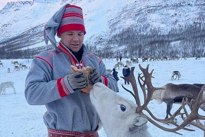 Exclusive Reindeers Experience in small groups, Tromso - Shopping for handmade Sami items on the grounds