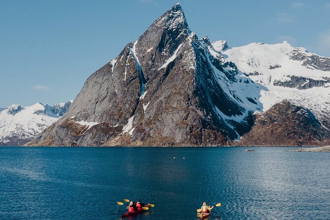 Explore Reinefjord by kayak (3 hours) - Key reasons to paddle Reinefjord in a guided kayak