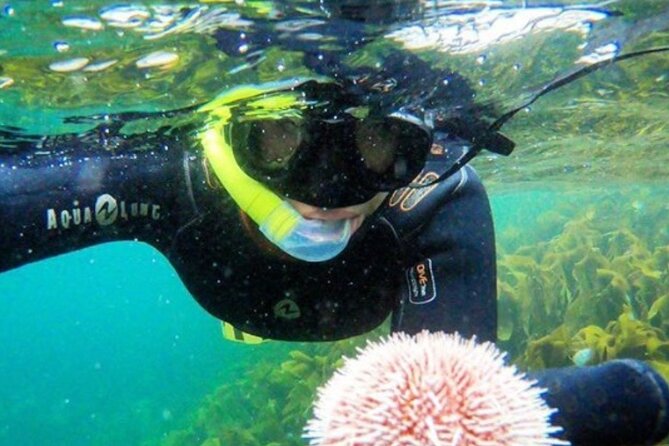 Family Snorkeling Tour - Key points families will care about