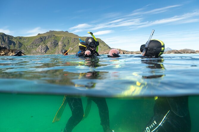 Family Snorkeling Tour - From Ballstad to the water: what the 3 hours really feels like