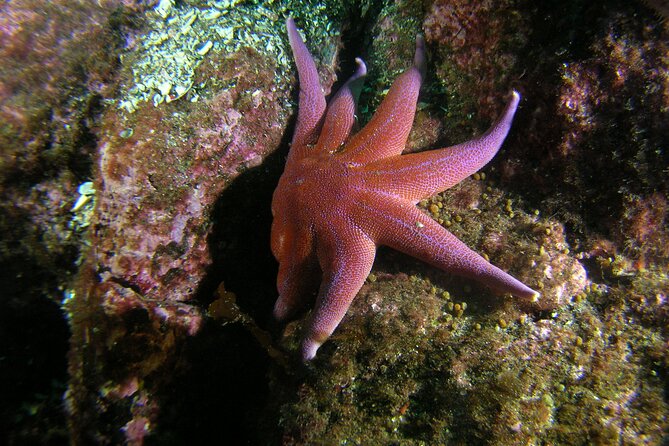 First Time Diver Scuba Experience - What a 6-meter ceiling means for a beginner