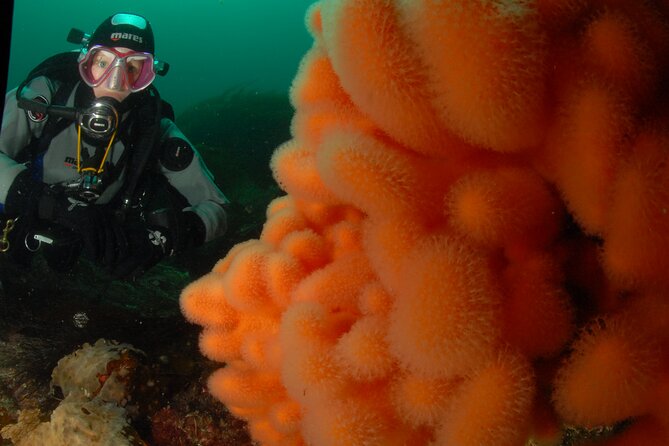 First Time Diver Scuba Experience - Logistics that make or break beginner comfort