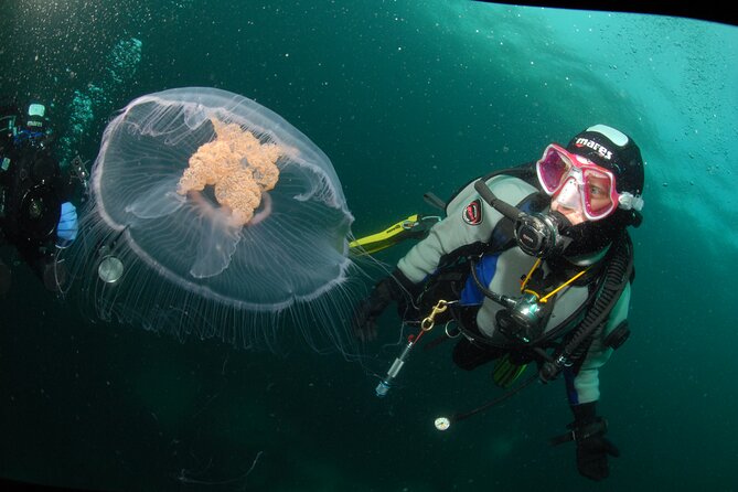 First Time Diver Scuba Experience - How the instructor-led style keeps anxiety in check