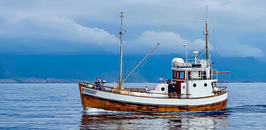 Fishing trip from Henningsvær + free (self caught) fish soup - Key things I’d circle before you book