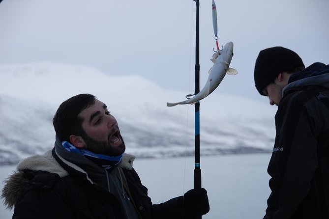 Fishing Trip with Luxury Catamaran in Tromso - Price and value: what $241.75 buys you in Tromso