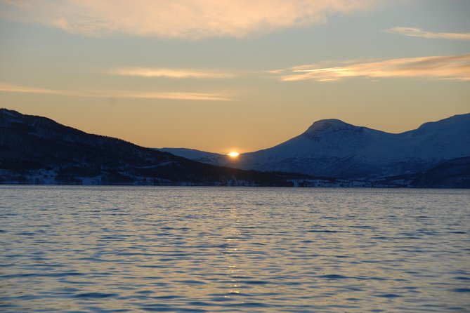 Fjord Cruise with Luxury Catamaran in Tromso - Fishing focus, local meals: why this trip feels more real than a typical cruise