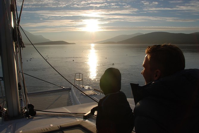 Fjord Cruise with Luxury Catamaran in Tromso - Price and value: is it worth $214.22 per person?