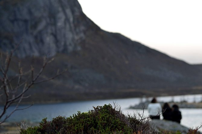 Fjord Expedition: Arctic Adventure Awaits - Cold-weather gear tips that keep you warm