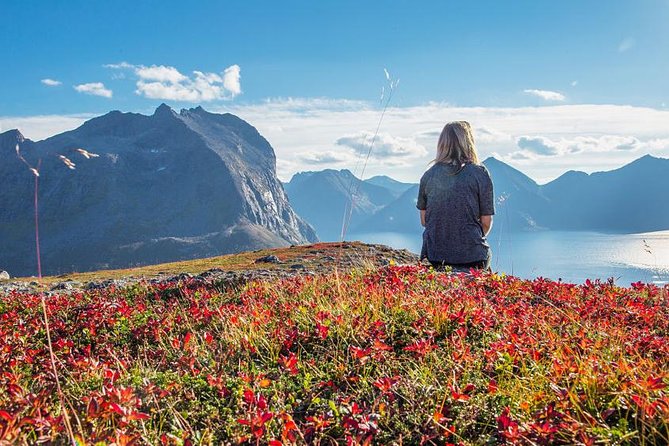 Fjord Expedition: Arctic Adventure Awaits - Should you book this Tromso fjord tour?