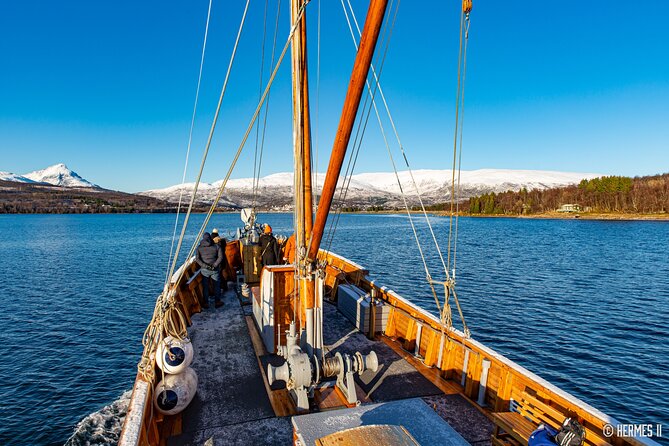 Fjord & History Cruise - The 2.5-hour route, how the pacing works and what you’ll see