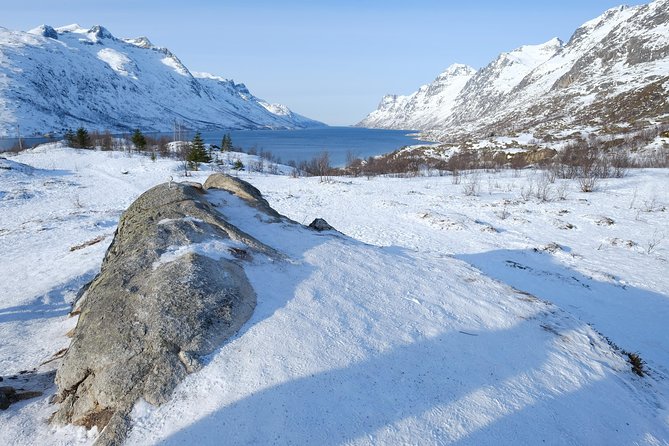 Fjord, Mountain and Wildlife Tour - Tromsø fjords without the rental-car headache