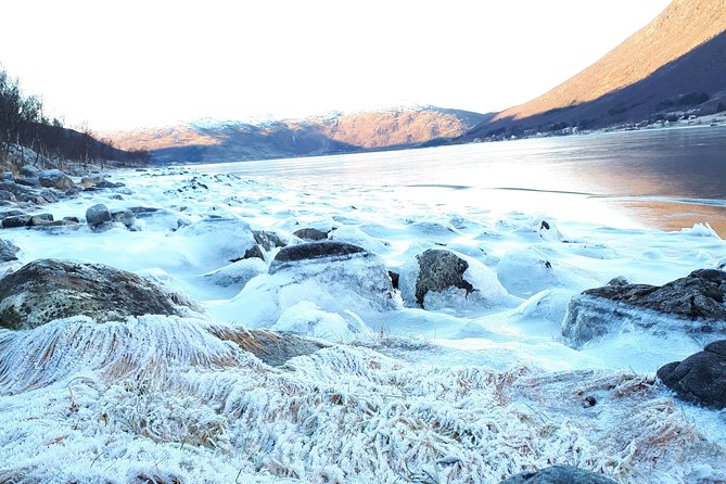 Fjord, Mountain and Wildlife Tour - Warm thermal suites and included treats: the comfort plan works