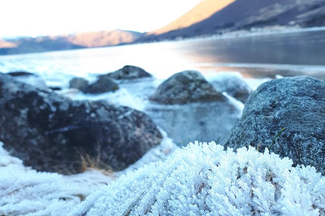 Fjord, Mountain and Wildlife Tour - Price and value: is $123.78 worth it?