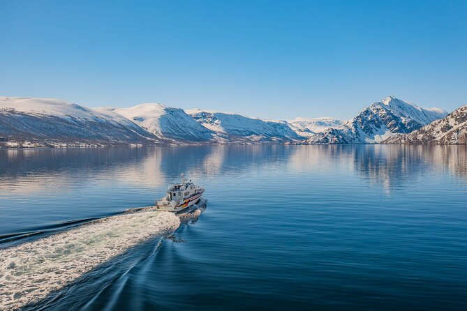 Fjord Safari in the Altafjord - Altafjord by boat: why this short safari hits the right note