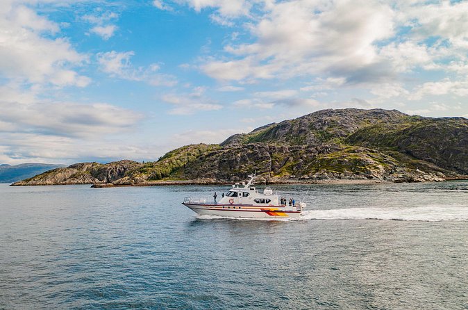 Fjord Safari in the Altafjord - Stop 1: Altafjord views plus wildlife watching from the water